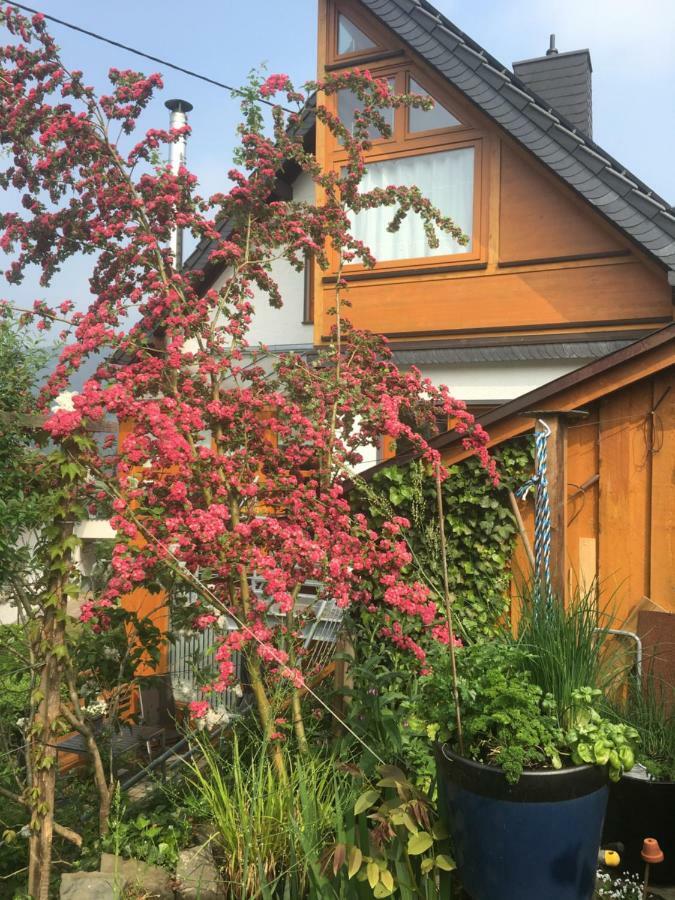 Apartamento Ahle Uhl Honningen  Exterior foto